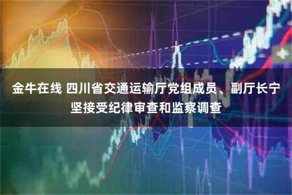 金牛在线 四川省交通运输厅党组成员、副厅长宁坚接受纪律审查和监察调查