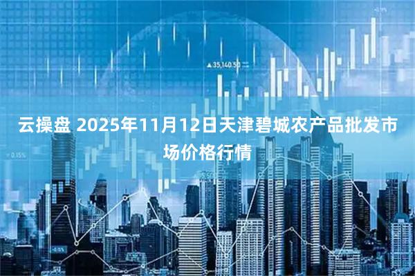 云操盘 2025年11月12日天津碧城农产品批发市场价格行情