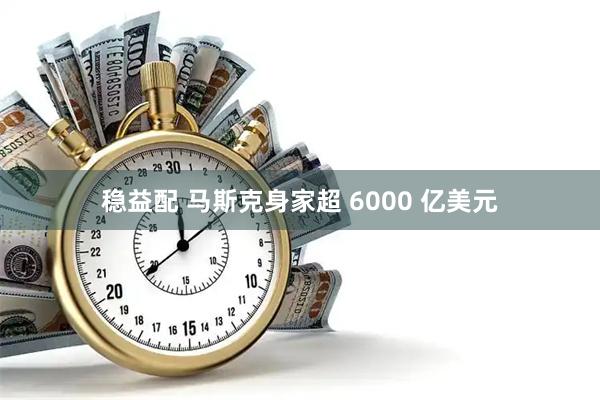 稳益配 马斯克身家超 6000 亿美元
