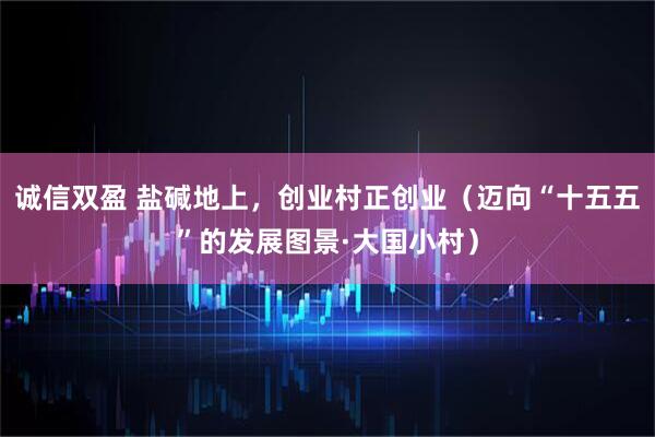 诚信双盈 盐碱地上，创业村正创业（迈向“十五五”的发展图景·大国小村）