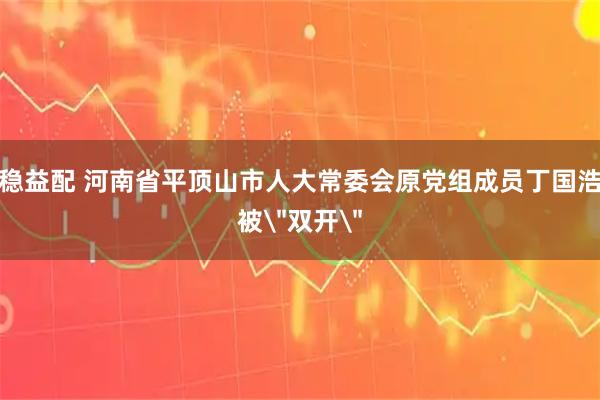 稳益配 河南省平顶山市人大常委会原党组成员丁国浩被＂双开＂
